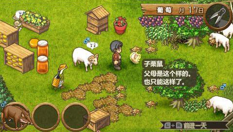 欢迎来到绵羊村(Shepherd)