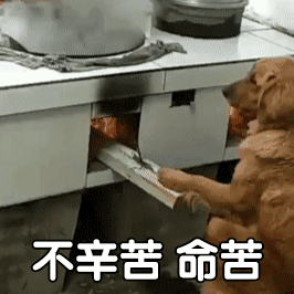 斗图必备的欢乐动态表情