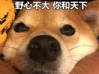 好用的热门斗图制作