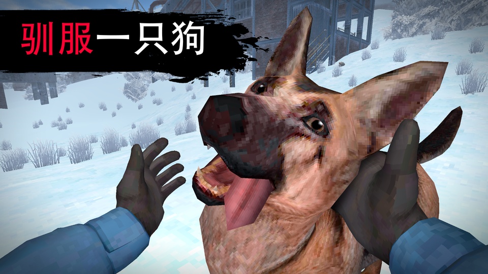 冬季生存