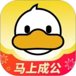 上岸鸭公考
