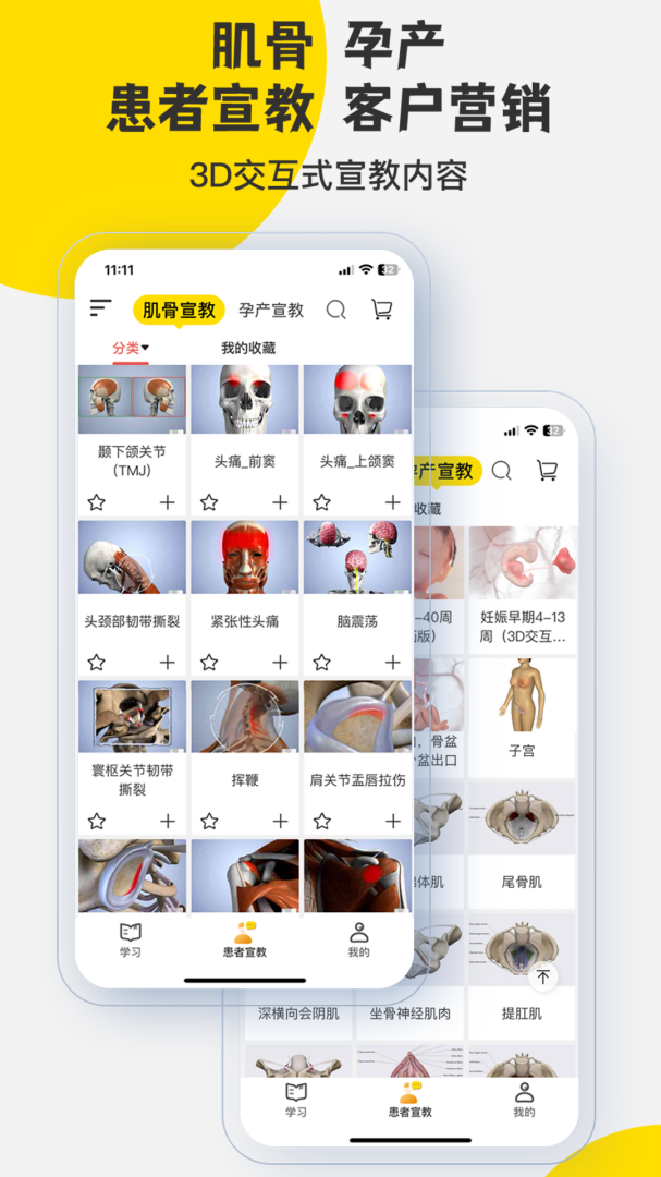 3DBody解剖