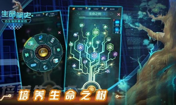 生命简史内购版