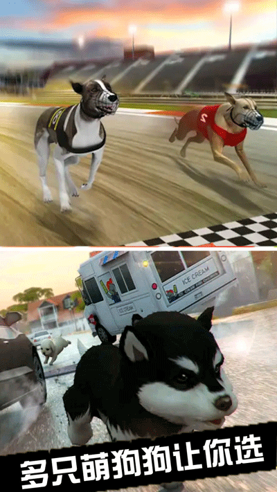 我的萌宠世界(玩法丰富)