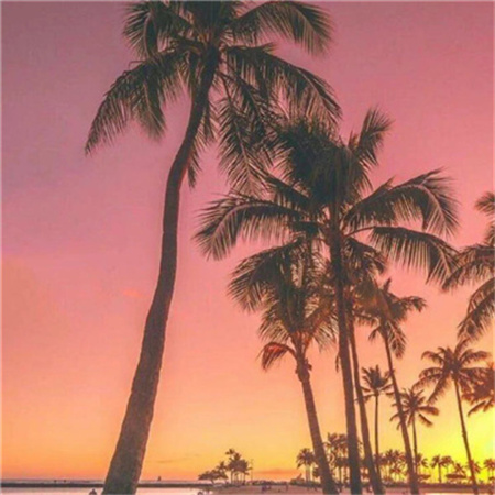 颜值很高的气质背景