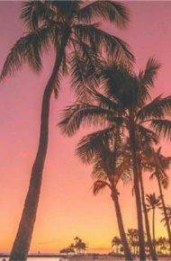 颜值很高的气质背景