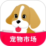 宠物市场