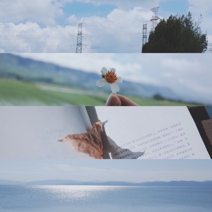 一年四季的温柔微信聊天背景图