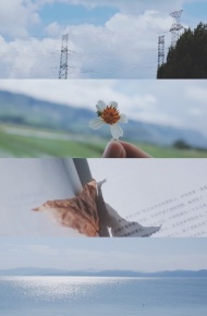 一年四季的温柔微信聊天背景图