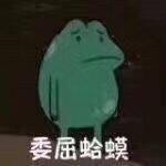 青蛙系列微信表情包