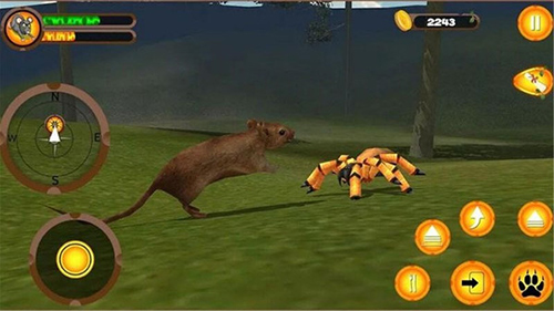 疯狂老鼠王九游版