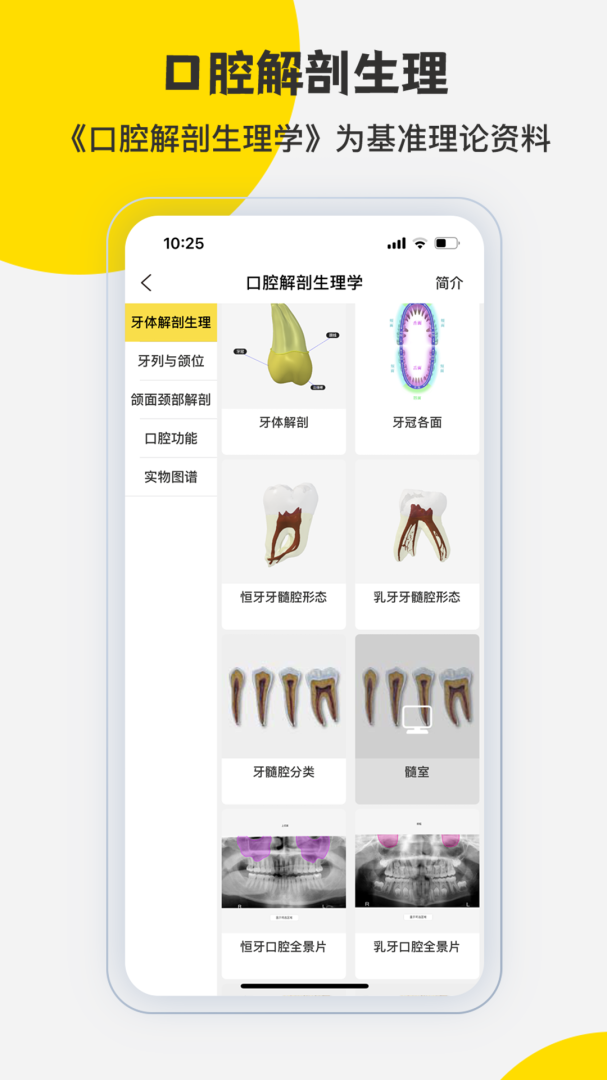 3DBody解剖