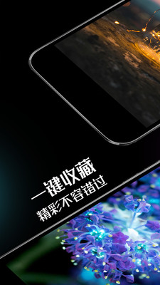 壁纸屋(高清美图)