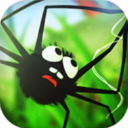 蜘蛛的冒险无敌版