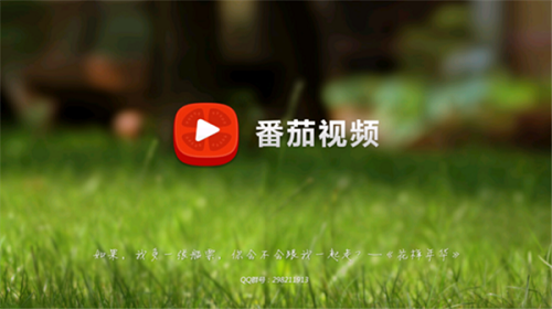 番茄视频高清版