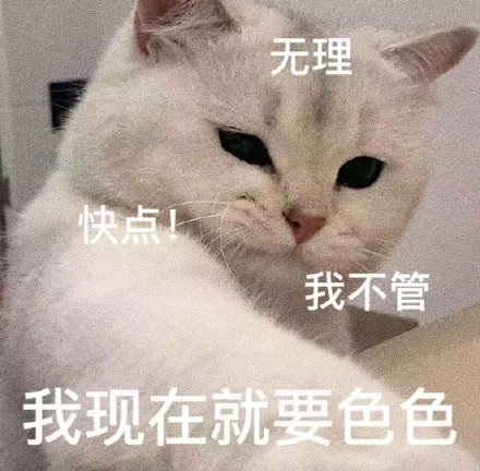 想要色色的猫咪和狗狗微信表情包