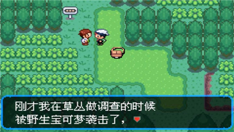 口袋妖怪究极绿宝石0.5.1