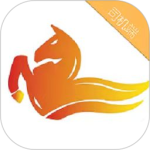 飞马出行司机端