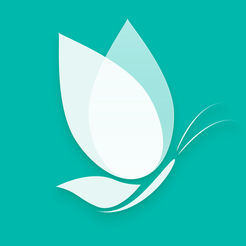 落初小说精简版