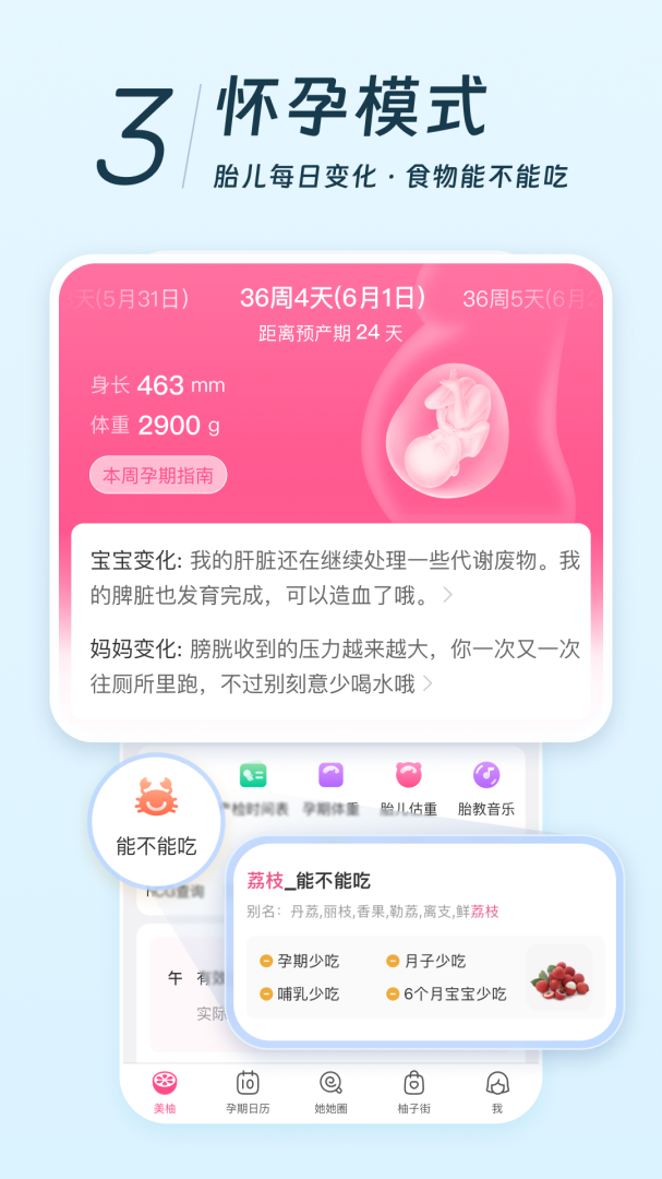 美柚2022