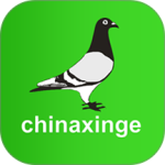 中国信鸽信息网
