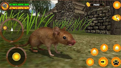 疯狂老鼠王九游版