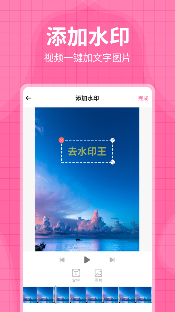 去水印王