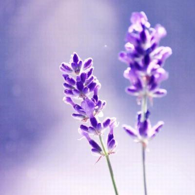 中年妈妈的个性微信头像