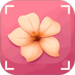 识花君免付费版