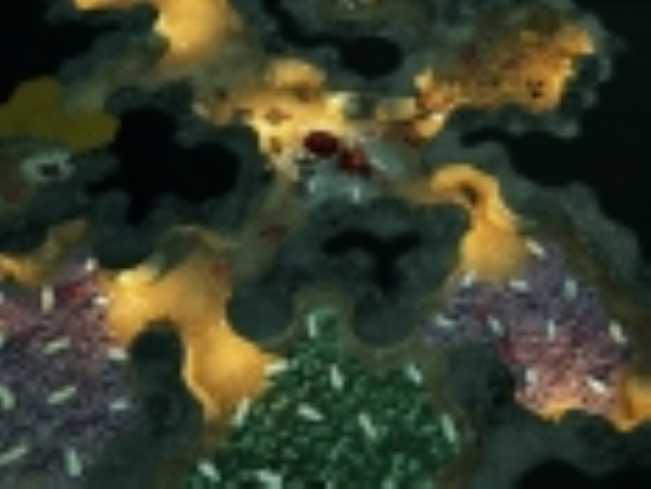 蚂蚁帝国模拟器无敌版