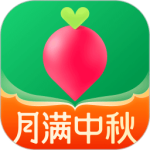 叮咚买菜极速版