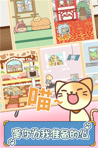 猫咪的毛九游版