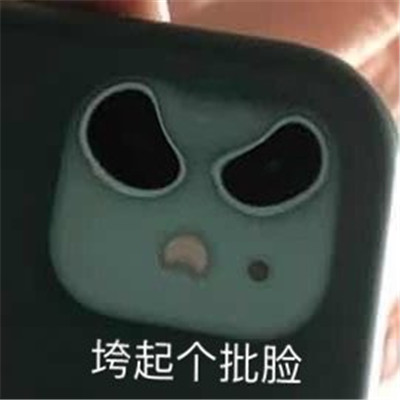 苹果后置相机奇怪又有趣的表情包