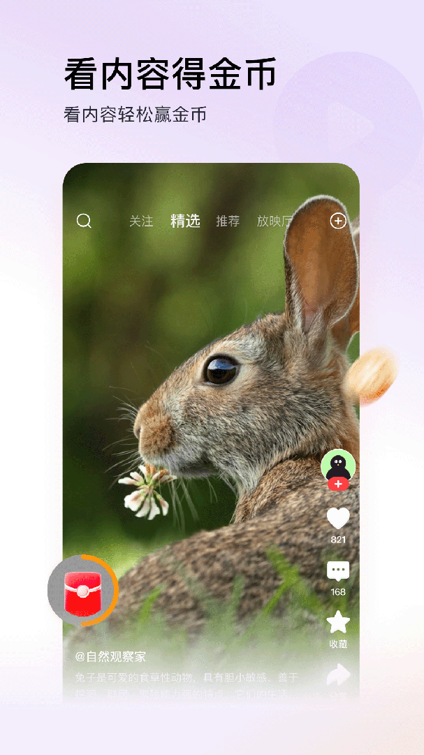 头条搜索极速版app