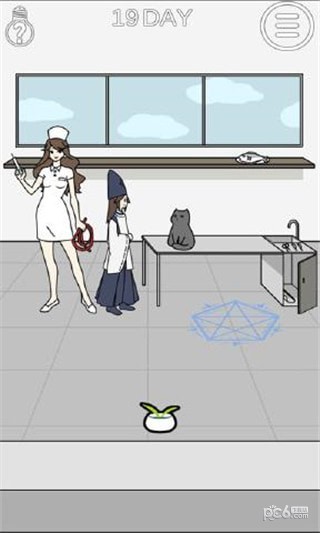 这个动物不正经