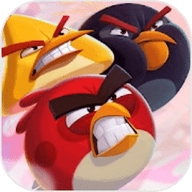 愤怒的小鸟22022