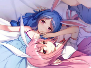 受欢迎的护士绅士