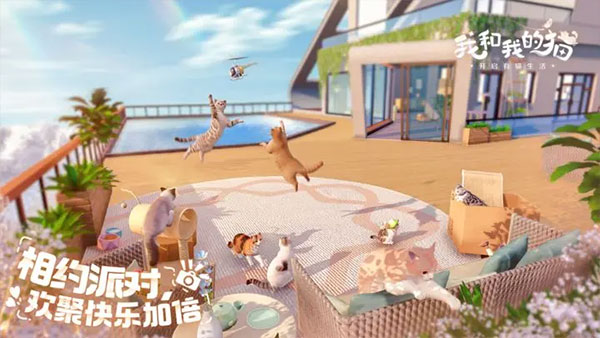 我和我的猫复古版