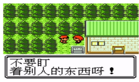 口袋妖怪心金全随机版