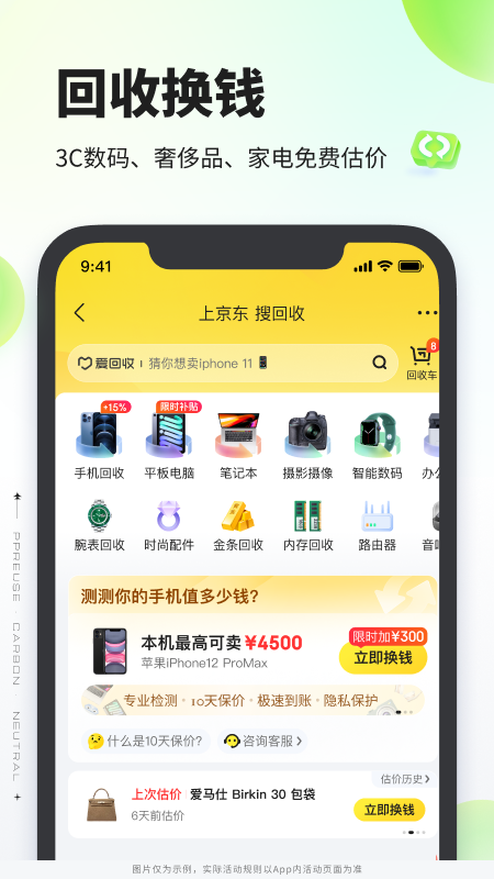 拍拍
