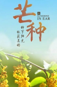 芒种节气微信素材图片