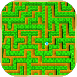 迷宫游戏行走专家