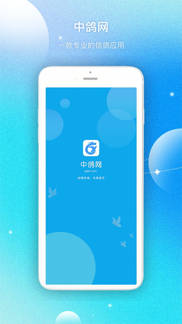 中鸽网