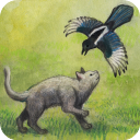 米洛和喜鹊全关卡解锁版