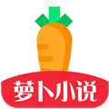 萝卜小说