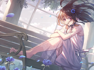 二次元动漫互动