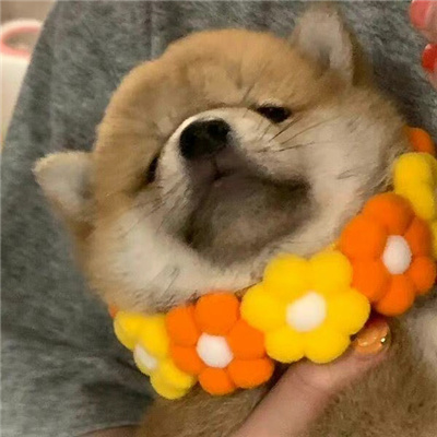 个性又很火爆的可爱头像