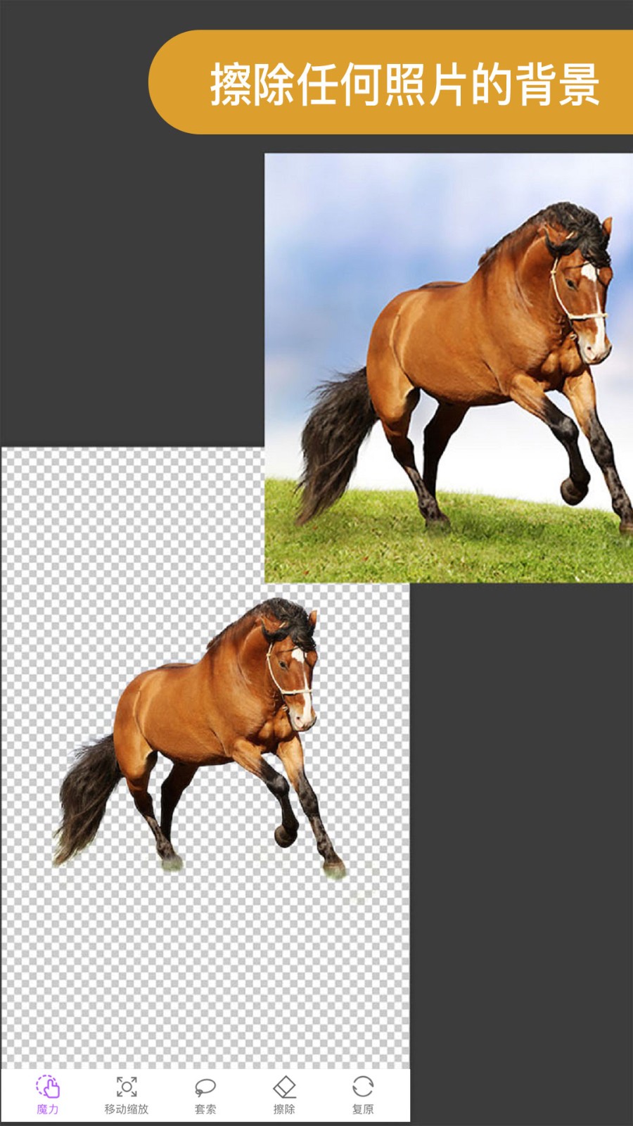 ProKnockout已付费解锁版