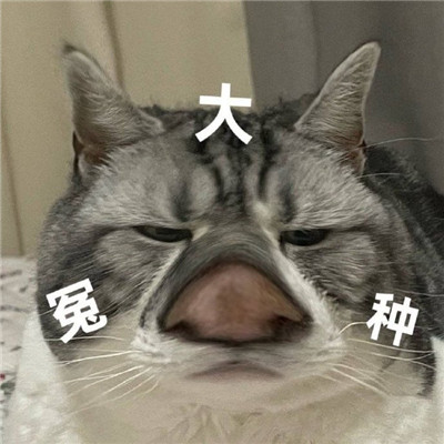 大怨种表情包合集
