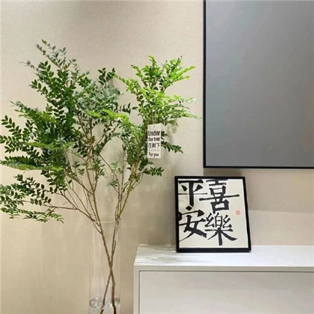 高清好看的温柔背景图